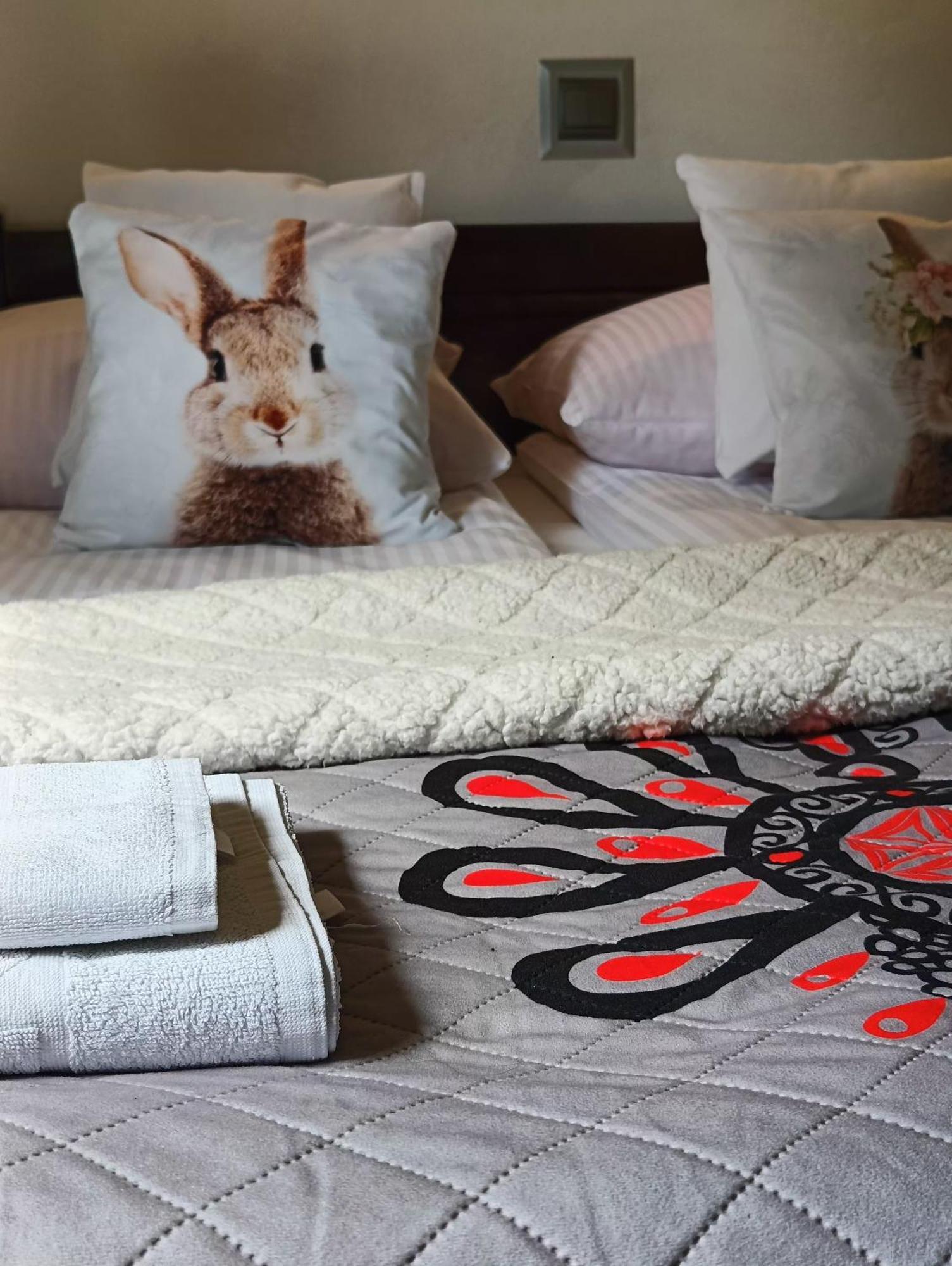 Pokoje I Apartamenty U Sabiny - Dostep Do Jacuzzi Tylko W Wybranych Opcjach Sprawdz Ponizej Szczegoly Rezerwacji Шавница Экстерьер фото